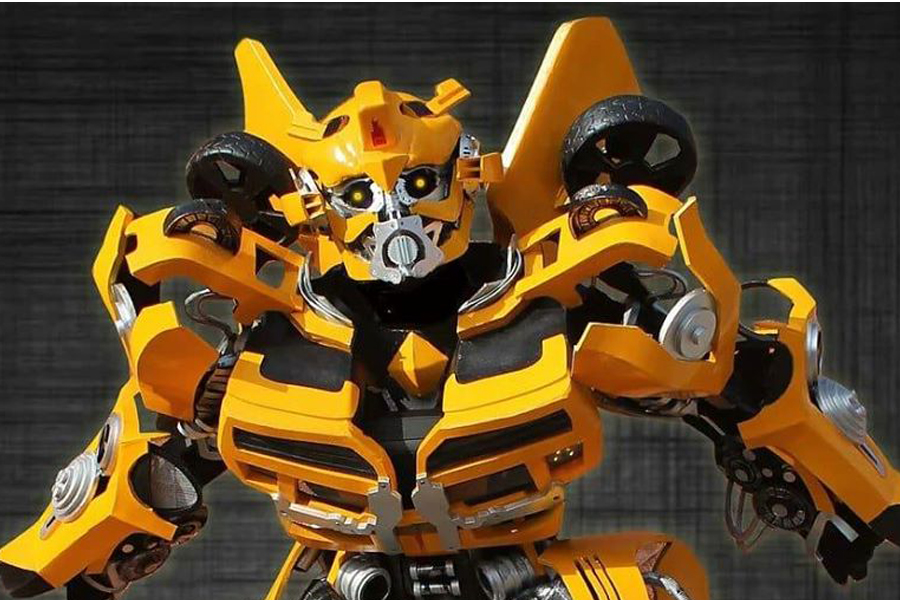 Read more about the article BUMBLEBEE